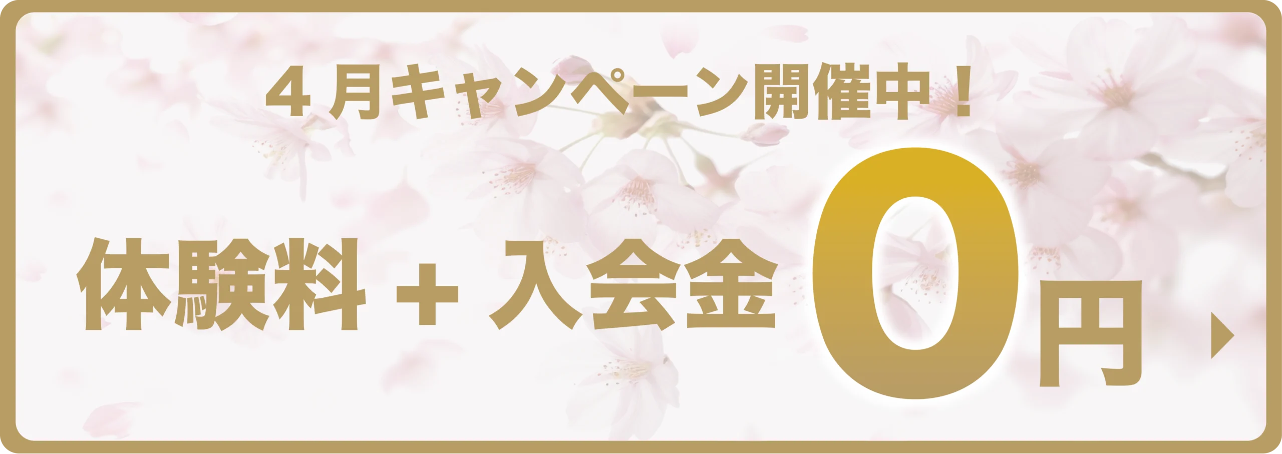 キャンペーンバナー